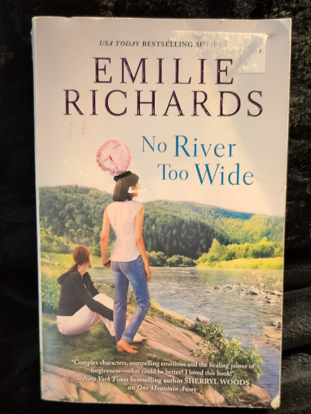 Emilie Richards "No River Too Wide" Paperback Book